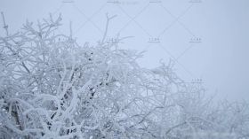 唯美冬季冰天雪地摄影师雪地拍照高清实拍视频素材