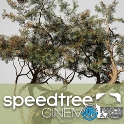 SpeedTree Modeler Cinema Edition树木植物实时建模软件V9.2版
