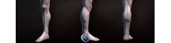 ZBrush人类腿部雕刻视频教程