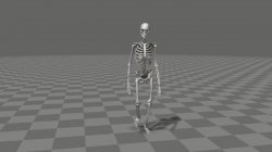骨骼绑定的关键帧动画操作流程演示 行走动画的详细制作解析