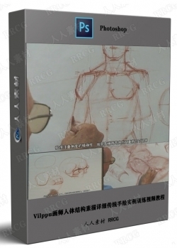 Vilppu画师人体结构素描详细传统手绘实例训练视频教程