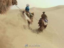 沙漠骆驼队高清实拍视频素材