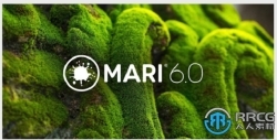 Mari三维纹理贴图绘制工具软件6.0v2版