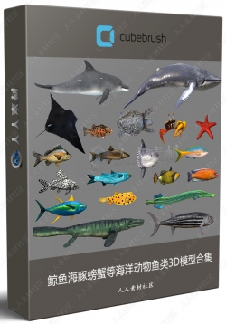 鲸鱼海豚螃蟹等海洋动物鱼类3D模型合集