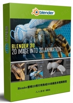 Blender蜜蜂2D照片转换成3D动画技术视频教程