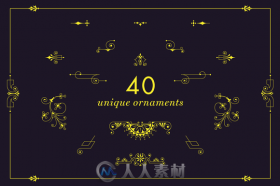 装饰元素第三版AI矢量模板ornaments vol. 3 by digiful