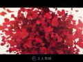 美丽浪漫的玫瑰花瓣喷涌飞舞logo揭示AE模板