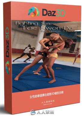 女性跆拳道搏击姿势3D模型合辑