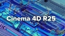 Cinema 4D Studio三维设计软件R25.117版