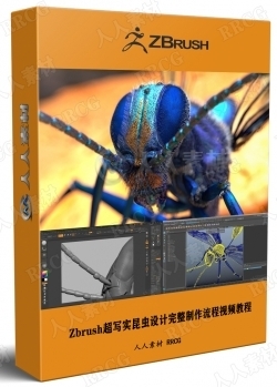 Zbrush超写实昆虫设计完整制作流程视频教程