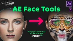 变脸换脸面部跟踪艺术特效AE模板