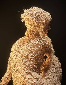 花瓣黏贴成的女人-Digital Woman Sculptures Shaped by Flowers