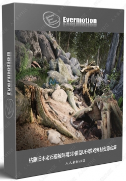 枯藤旧木老石植被环境3D模型UE4游戏素材资源合集 Evermotion UE4
