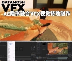 AE隐形融合VFX视觉特效制作视频教程
