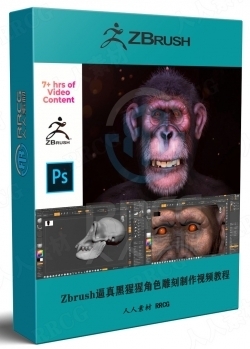 Zbrush逼真黑猩猩角色雕刻制作全流程视频教程