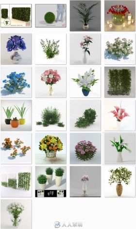 25个超精细写实植物3D模型
