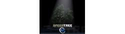 《SpeedTree树木制作入门视频教程》cmiVFX SpeedTree Introduction