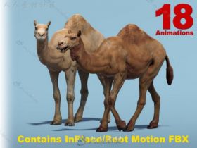 非洲骆驼哺乳动物角色3D模型Unity素材资源