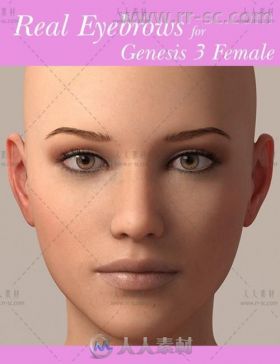 女性角色完整真实的自定义眉毛形状3D模型合辑