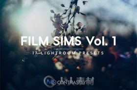 模拟电影照lightroom预设344058-Film-Sims-Vol.-1-Lightroom-Presets