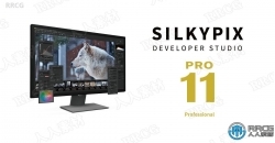 SILKYPIX Developer Studio Pro数码照片处理软件V11.0.4.0版