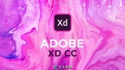 Adobe XD CC交互设计软件V40.0.22版