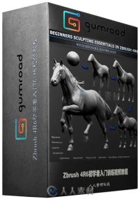 Zbrush 4R6初学者入门训练视频教程 Gumroad Beginners Sculpting Essentials In Zb...