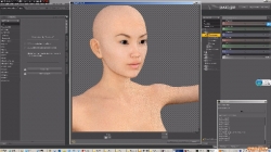 DAZ3d人物角色模型渲染中文教程