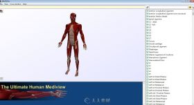 发一个3D解剖软件
