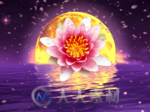 金色月亮海上升明月桃花梅花开放中秋节晚会LED背景视频素材