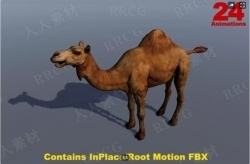 单峰骆驼哺乳动物3D角色Unity游戏素材资源
