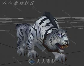 魔兽里的白虎3D模型