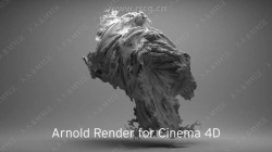 Arnold渲染器Cinema4D插件V2.6.2版
