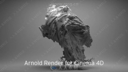 Arnold渲染器Cinema4D插件V3.0.2版