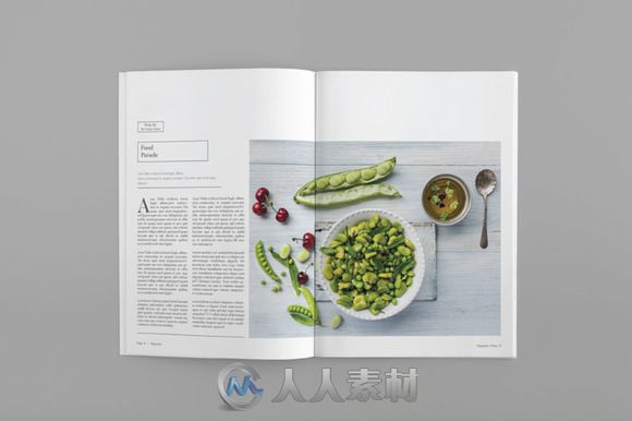 多用途杂志排版第一版indesign模板Multipurpose Magazine Vol I