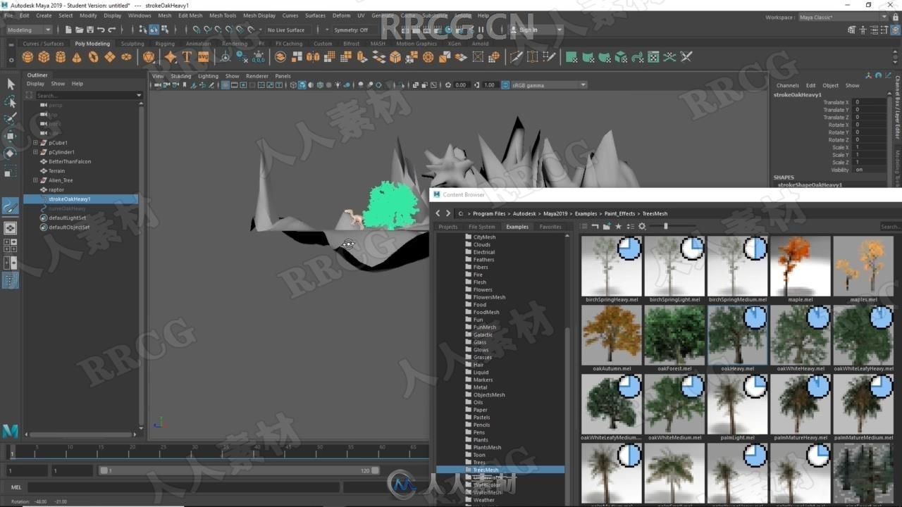Maya 3D建模与动画技术高级技能训练视频教程
