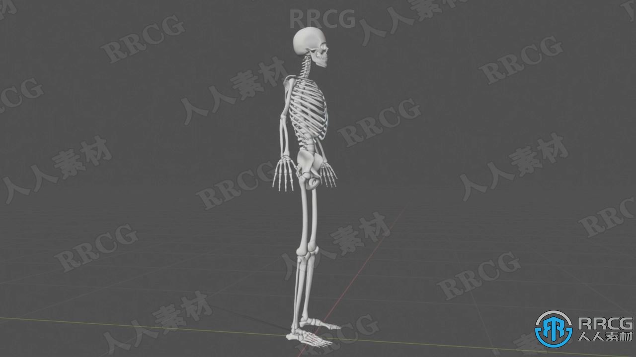 PS骨骼系统角色绘制技巧工作流程视频教程