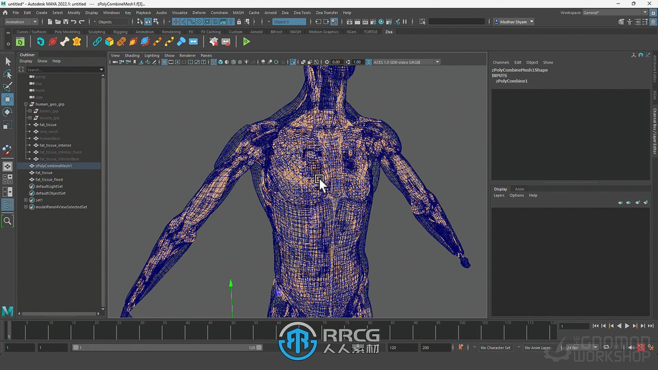 Maya中Ziva VFX人体骨骼组织模拟动画视频教程第一季