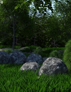 自然野生热带植被森林场景环境3D模型合集