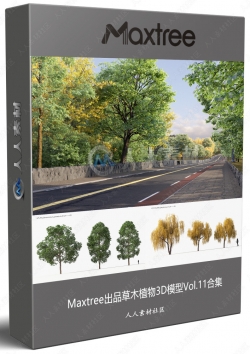 Maxtree出品草木植物3D模型Vol.11合集