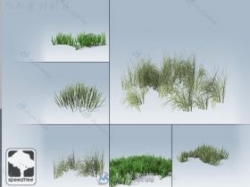 移动草包装模型SpeedTree&#174;植物Unity3D素材资源