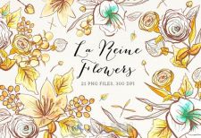 皇后之花平面素材合辑La Reine Flowers