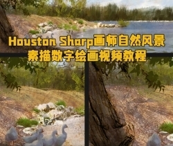 Houston Sharp画师自然风景素描数字绘画视频教程
