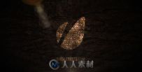 钻石闪光Logo演绎动画AE模板 Videohive Glitter Logo 5507421 Project for After E...
