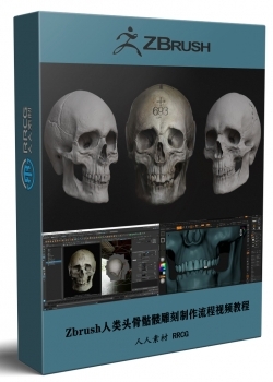 Zbrush人类头骨骷髅雕刻制作流程视频教程