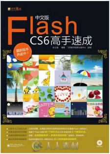 中文版Flash CS6高手速成