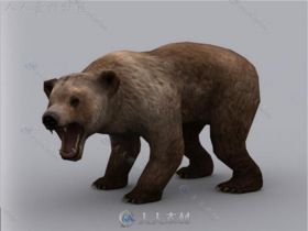 凶猛的熊动物角色3D模型Unity游戏素材资源