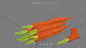 一堆逼真的胡萝卜3D模型