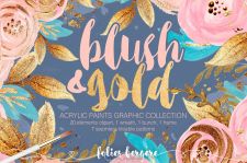 金色和红色花图案平面素材Blush & Gold Graphic Collection