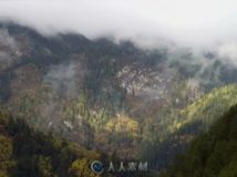 山林雾景(快速)高清实拍视频素材